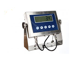 EX-3100防爆顯示器/稱(chēng)重儀表