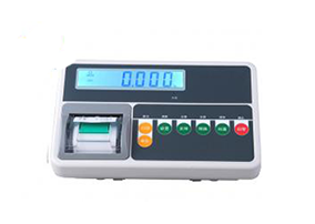 T510P帶打印顯示器/稱(chēng)重儀表