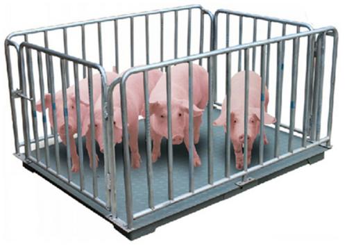 1*1m帶圍欄1噸小型地磅哪里有賣(mài)，一噸小地磅選購(gòu)建議